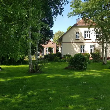 Samtmuschel Appartement
