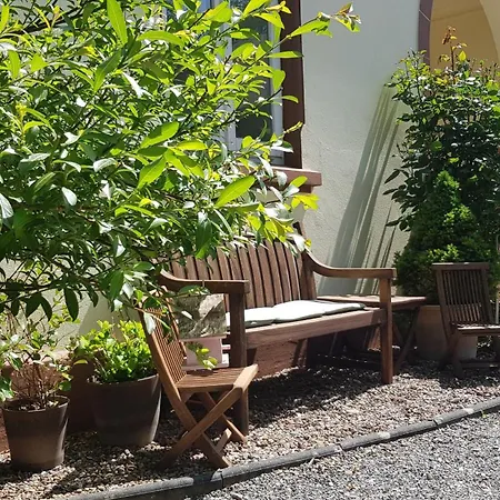Samtmuschel Appartement Sande