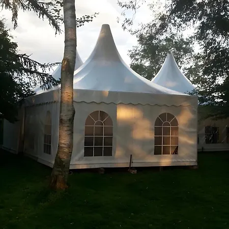 Samtmuschel Appartement Sande